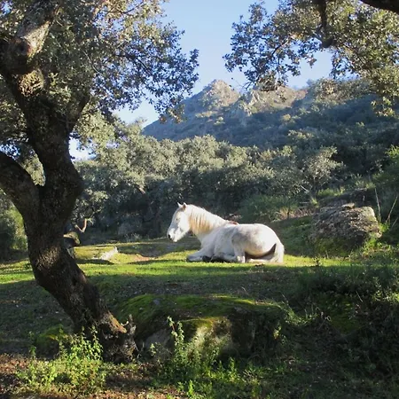 El Granero At Al-manzil * Arroyomolinos de Montanchez