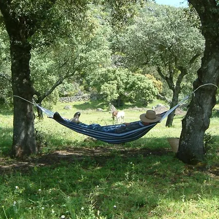 Holiday home El Granero At Al-manzil Arroyomolinos de Montanchez
