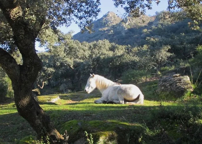 El Granero At Al-manzil * Arroyomolinos de Montánchez