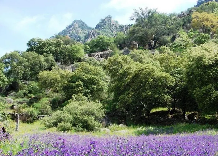 El Granero At Al-manzil Vakantiehuis